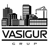 Partner logo: vasigur